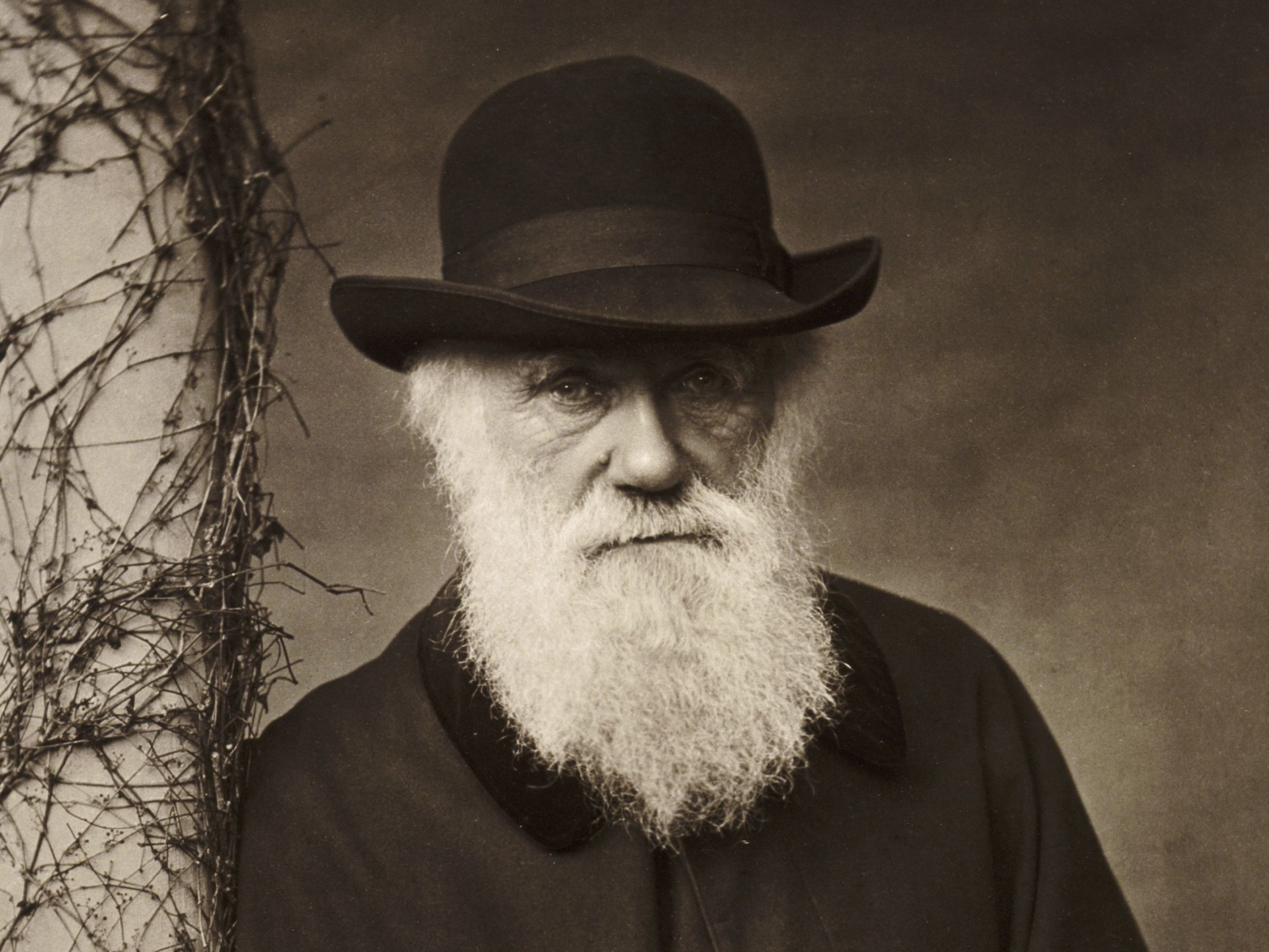 Older Charles Darwin wearing a hat